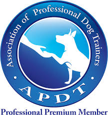 APDT-Logo