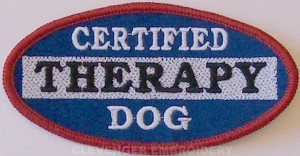 Therapy-Dog-Cert-300x156