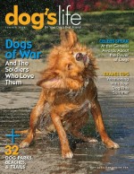 Dog’s Life Magazine, Dogs of War. (interview with Graham Bloem discusses how he plans to help Nubs adjust