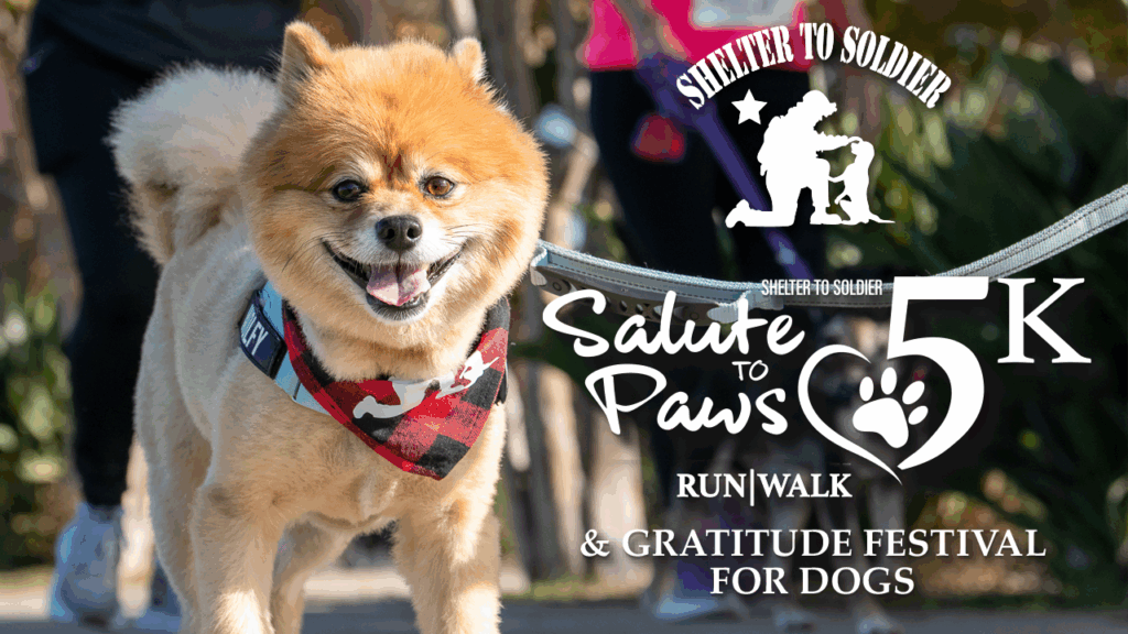 Salute to Paws 5k run